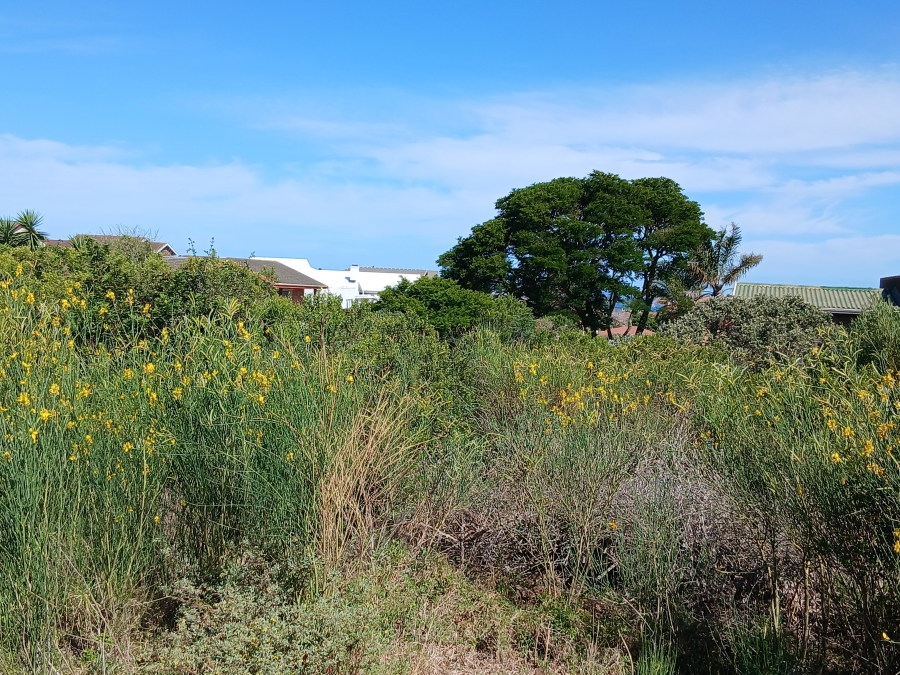 0 Bedroom Property for Sale in Noorsekloof Eastern Cape